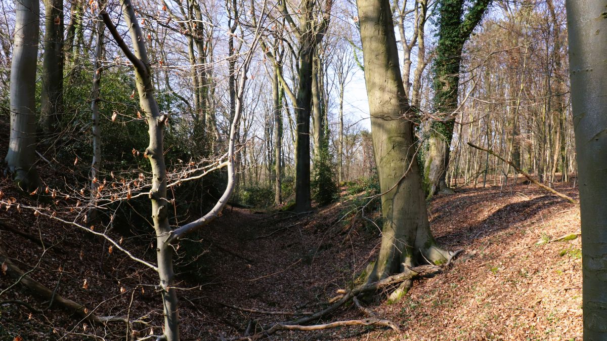 Gräben an der Motte