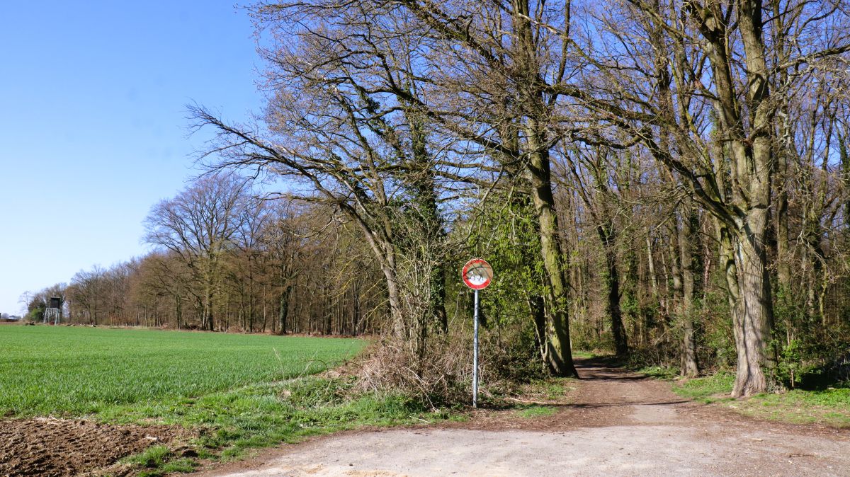 Am Fußballstadion Wickrathhahn