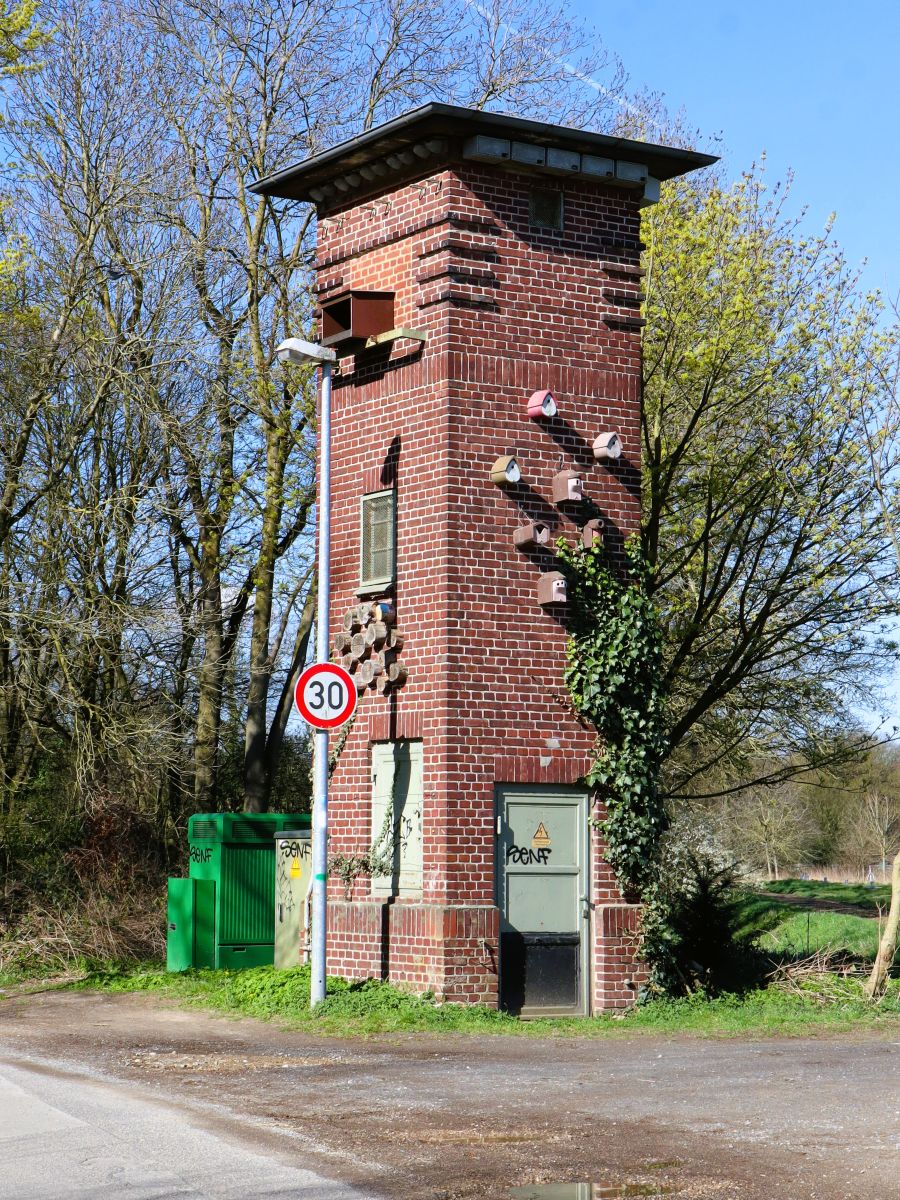 Trafo-Niststation Baum