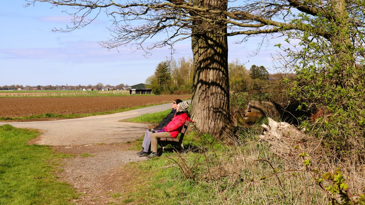 Ruhebank mit Blick über die Felder nach Erkelenz