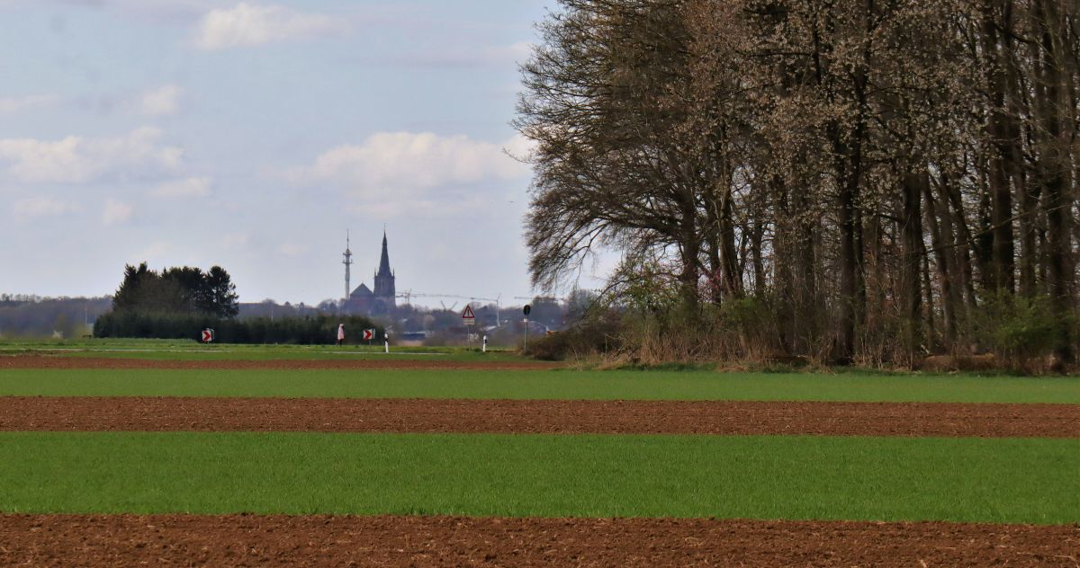 Waldrandblick auf Erkelenz