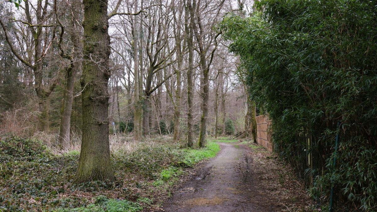 Zwischen Wickrather Wald und Mennrath