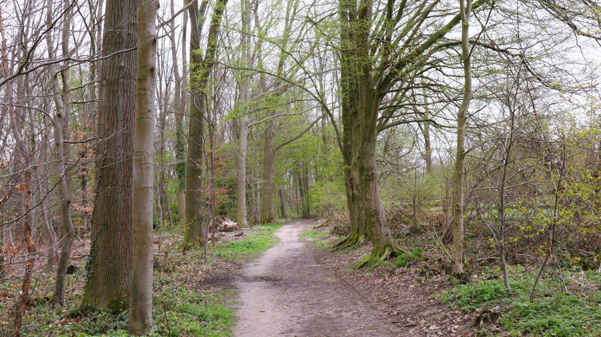 Weg zum Soldatenfriedhof