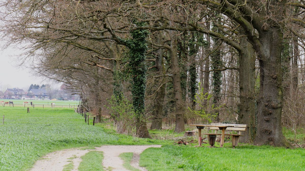 Rastplatz am Wickrather Busch