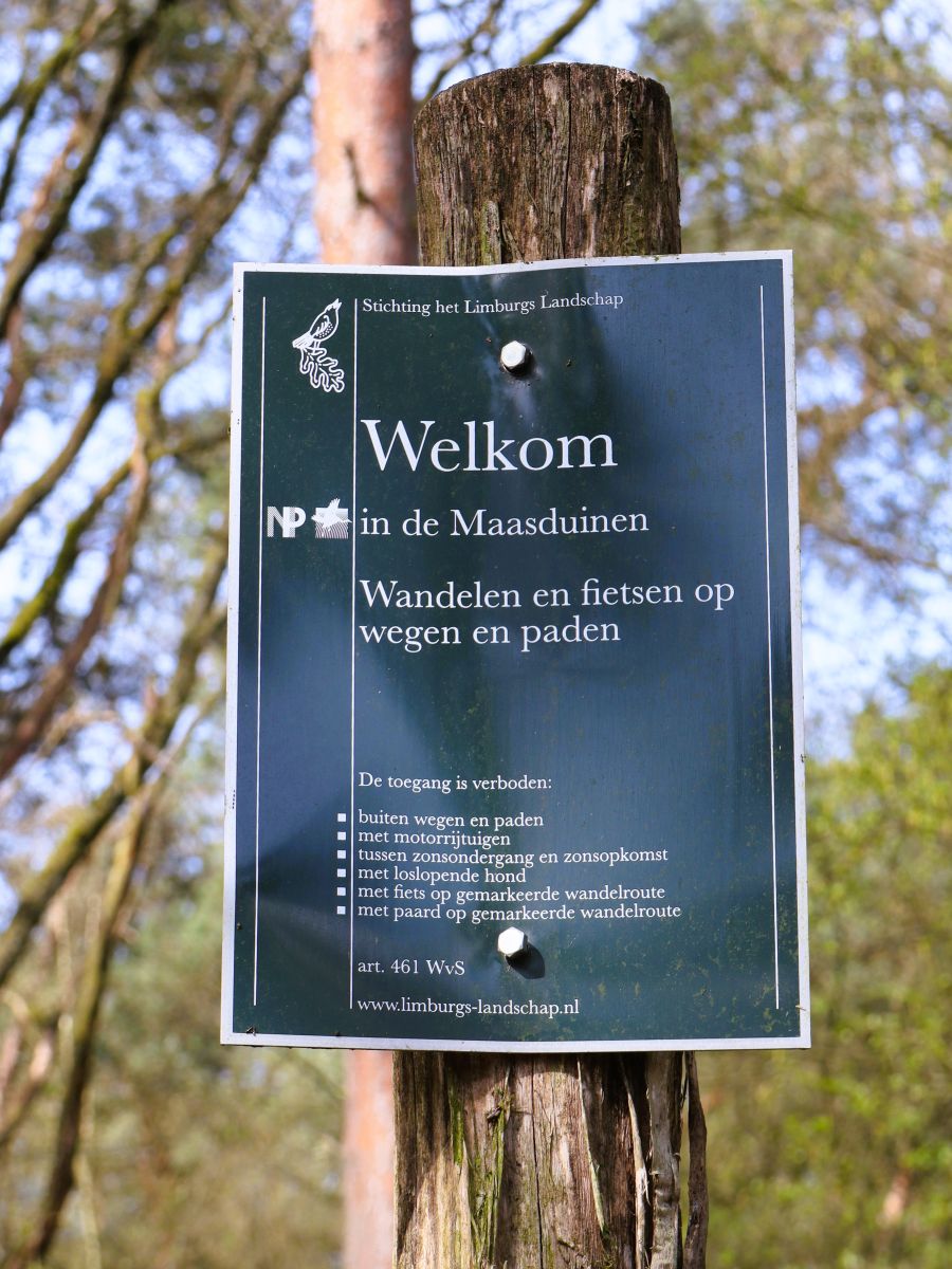 In de Maasduinen