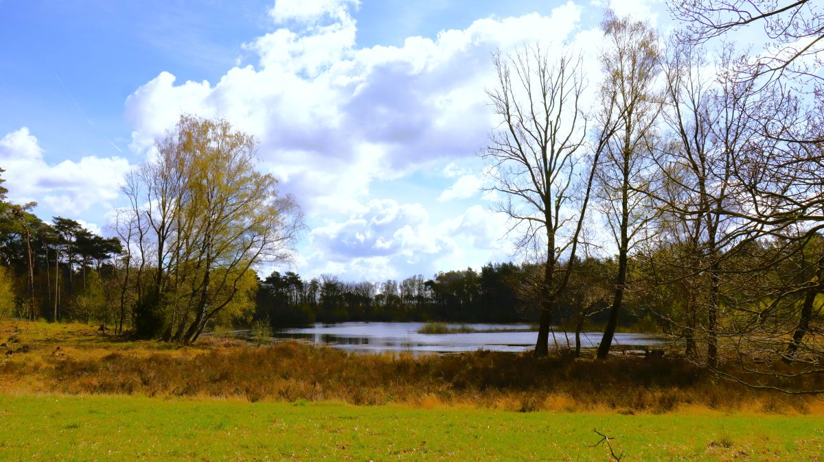 Moorsee am Hanikerweg