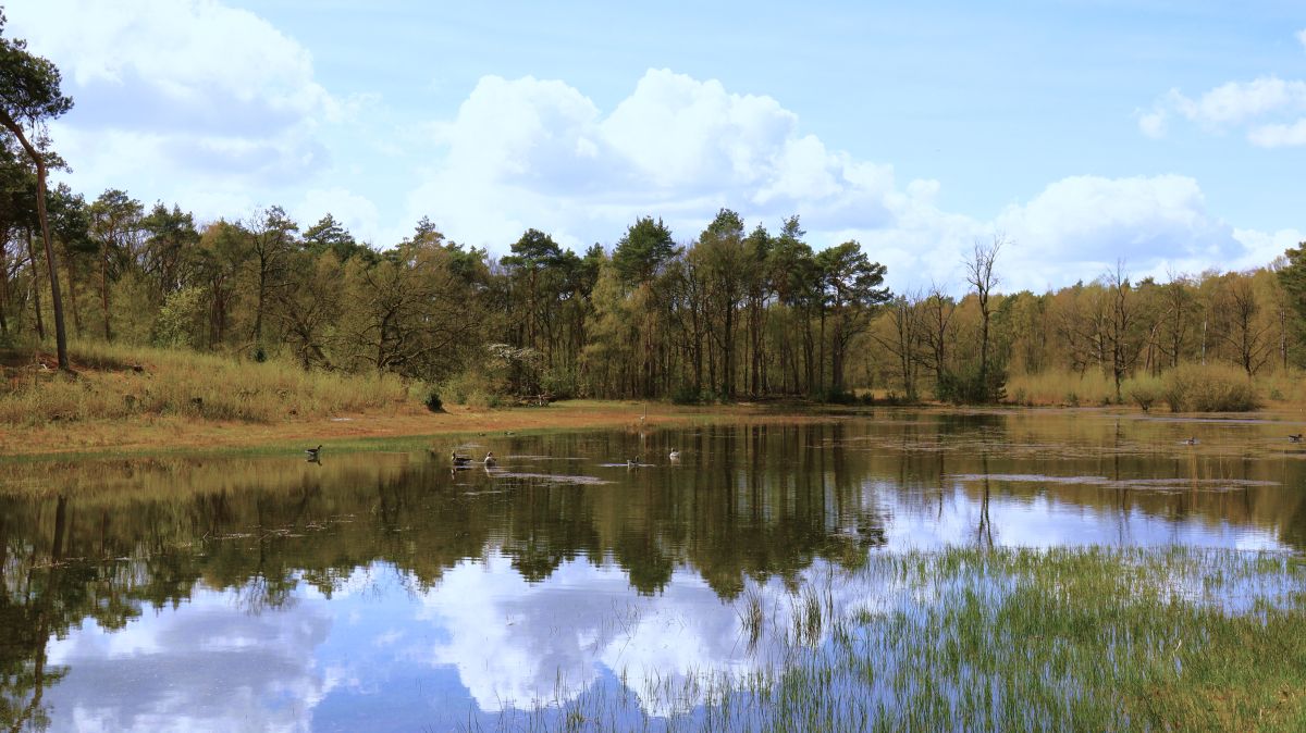 Moorsee am Lomveldweg