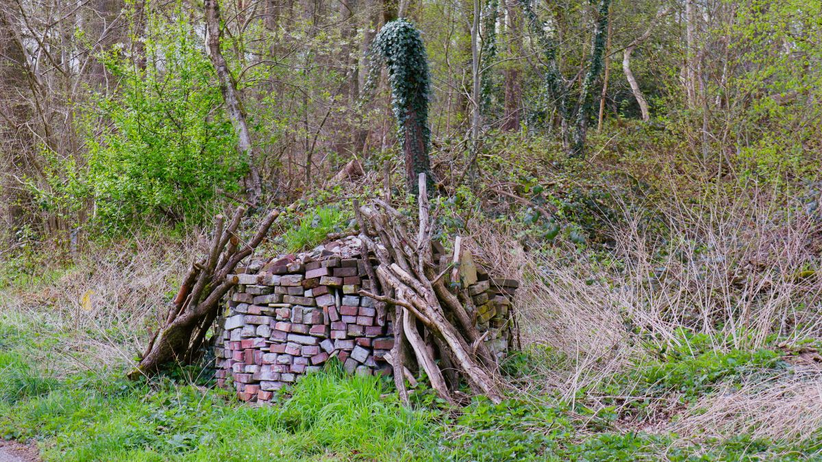 Ziegelsteine im Wald