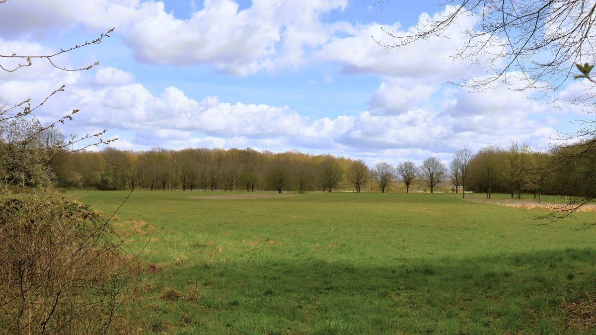 Felder am Lomveldweg