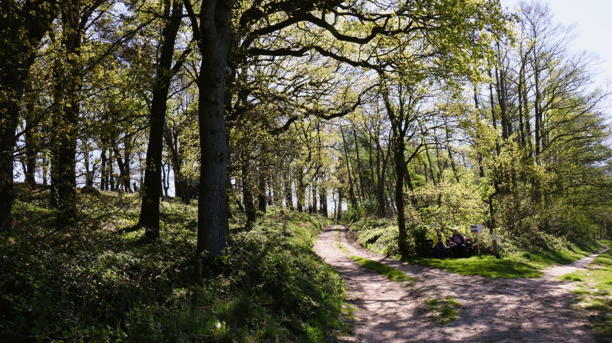 Wegegabelung bei Finkenberg