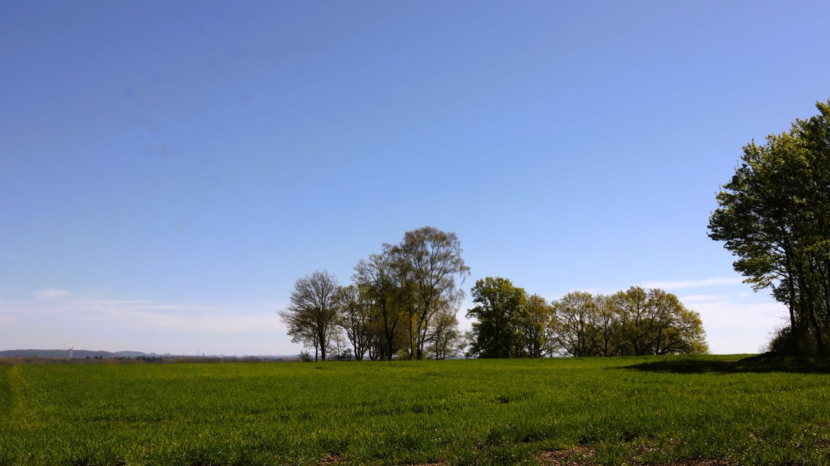 Auf der Schaephuysener Höhe