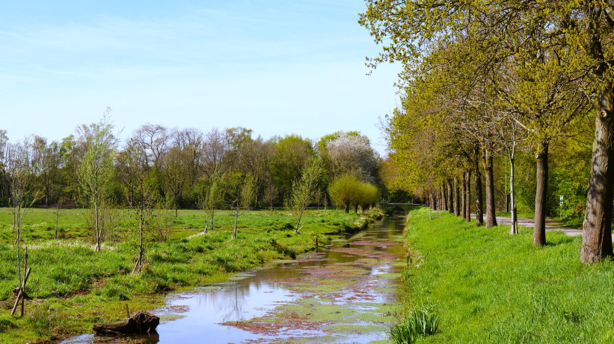 Cloer am Niersweg