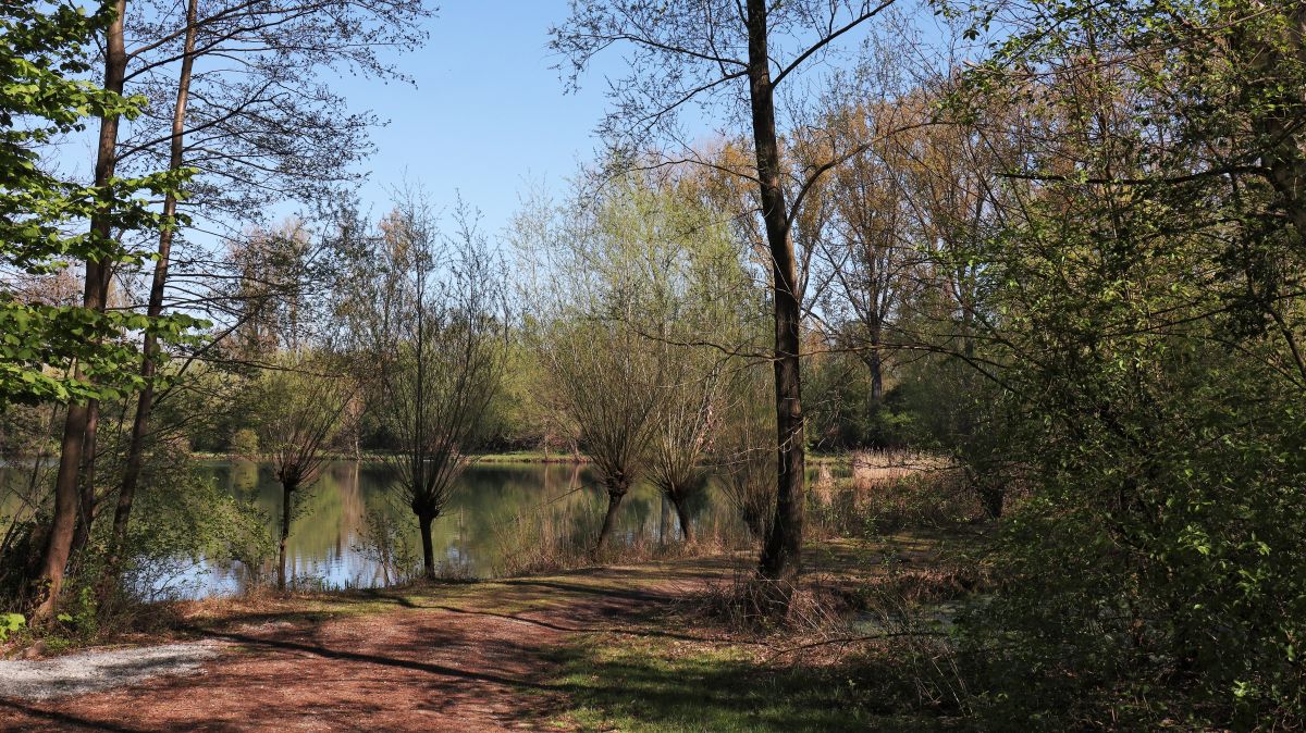 Kleiner Nierssee (nur für Angler)