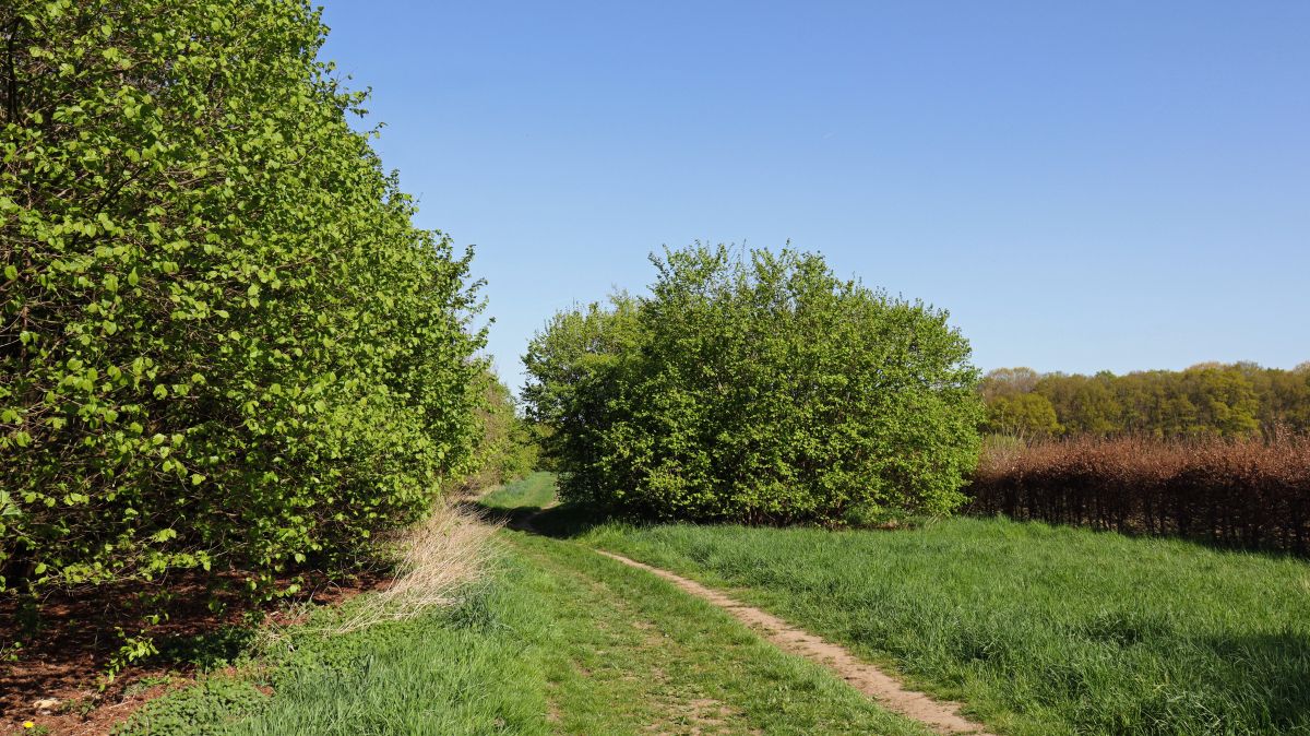 Am Ortsrand Waldfeucht-Haaren