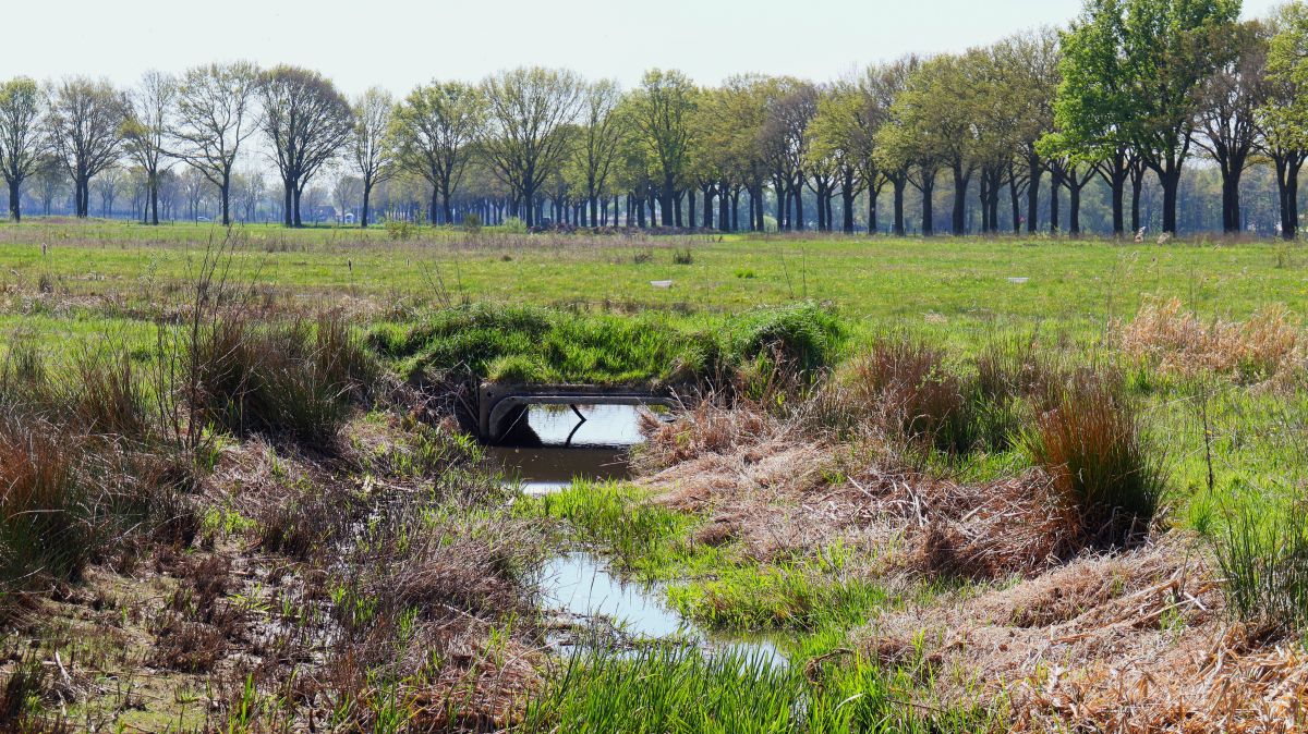 In den Vlootbeek Auen