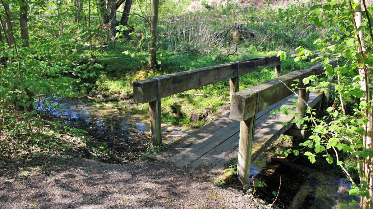 Brücke über den Krebsbach