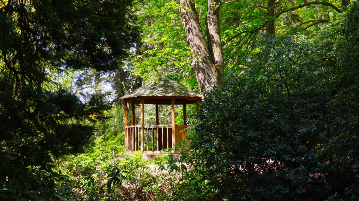 Pavillon im Rhododendronpark