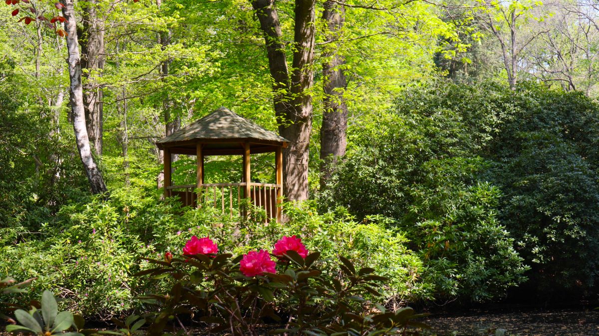 Pavillon im Rhododendronpark