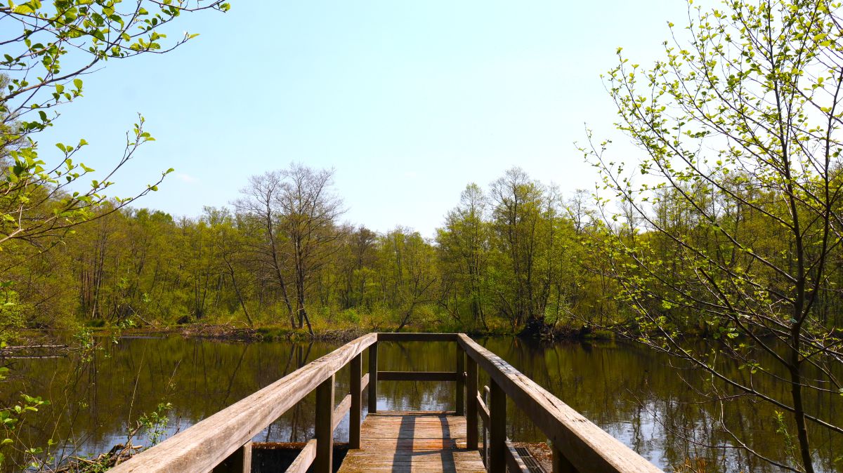 Steg am Mühlenweiher