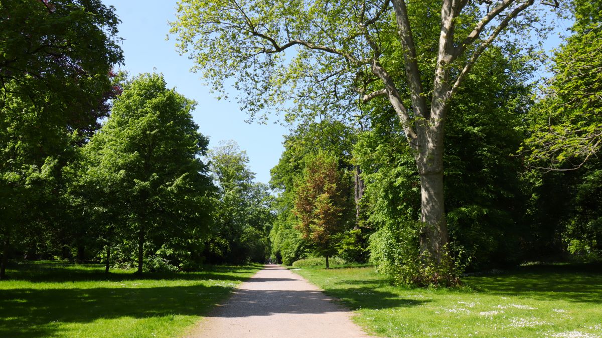 Landschaftspark Schloss Kalkum