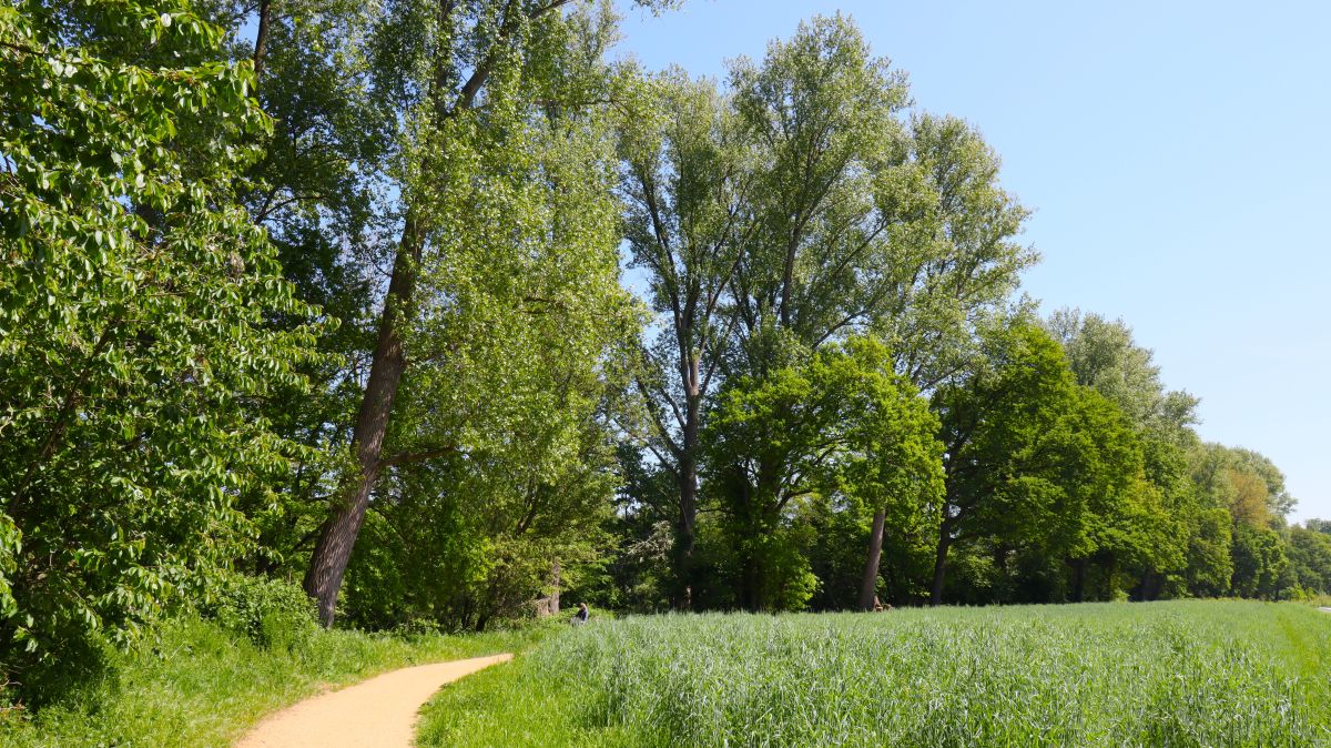 Entlang des Nierssee