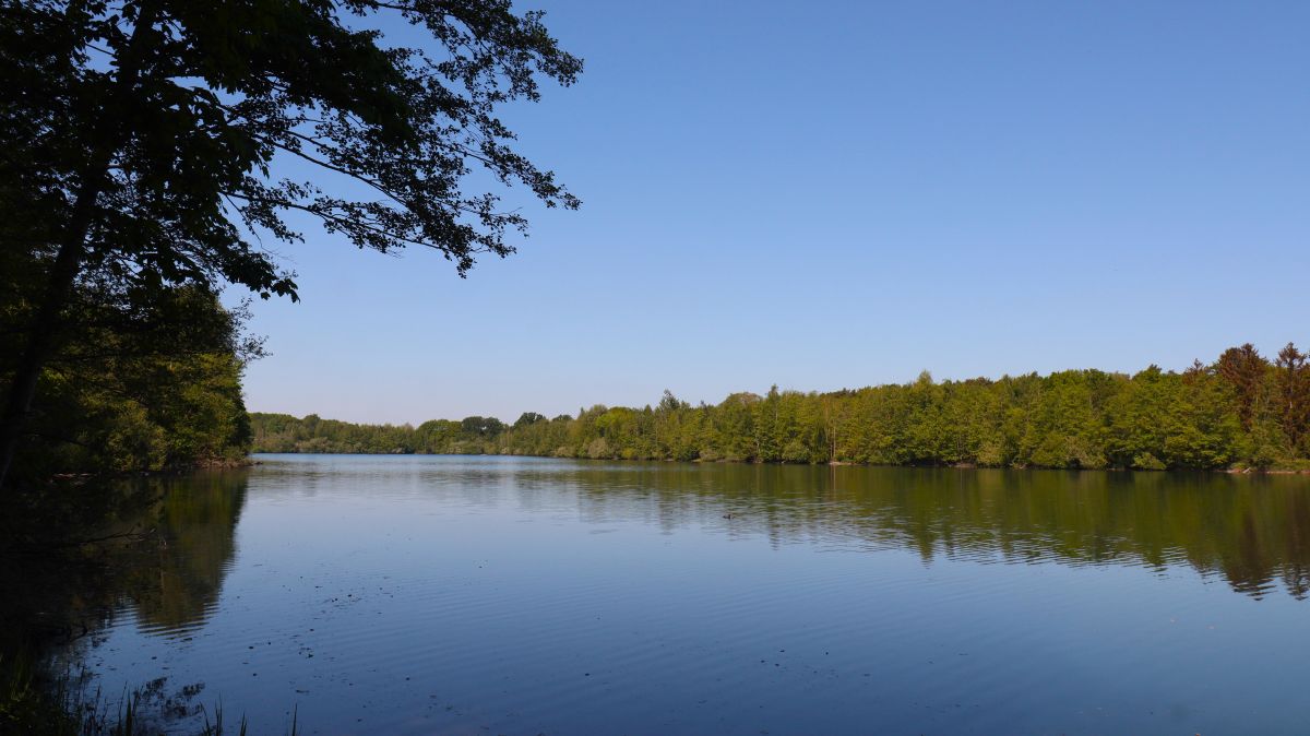 Nierssee am Kloster Graefenthal