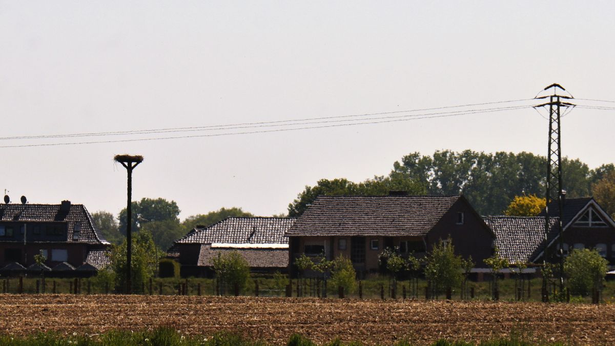 Storchennest bei Asperden