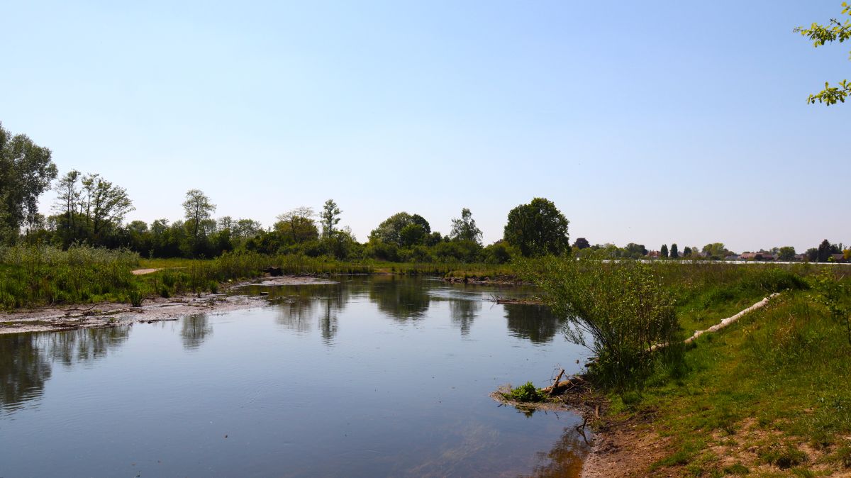 Renaturierte Niersaue bei Kessel