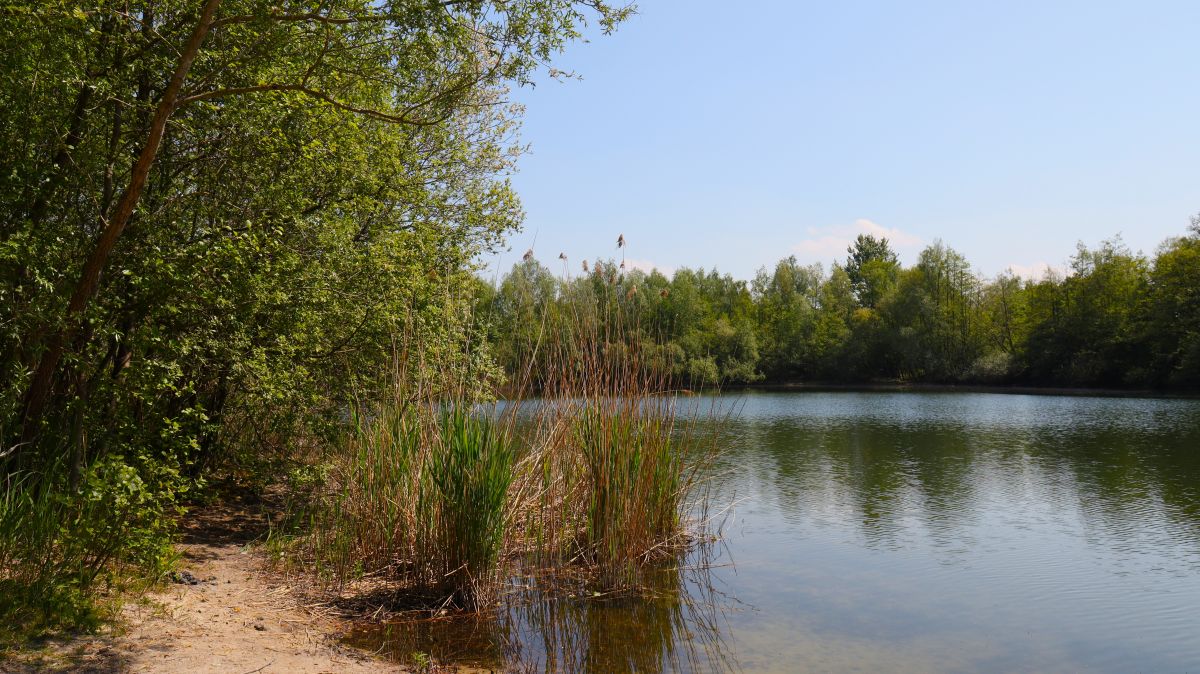 Kleiner Nierssee