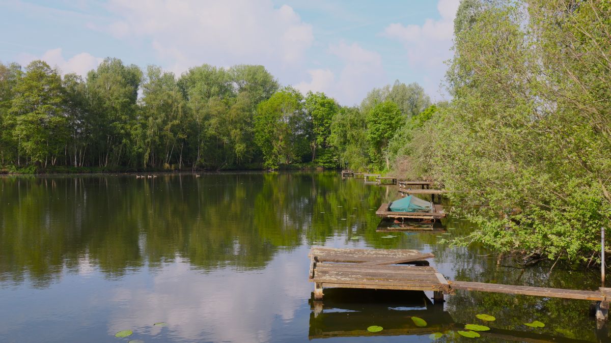 Stege am Borner See