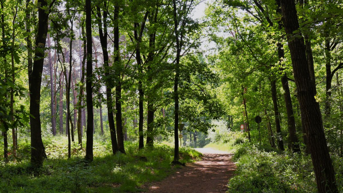 Auf dem Weg nach Haverslohe