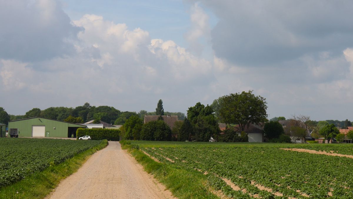 Blick auf Haverslohe