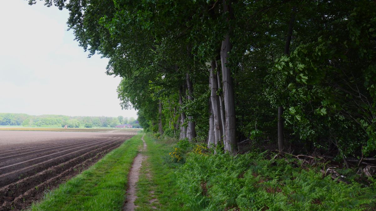 Am Waldrand bei Haverslohe