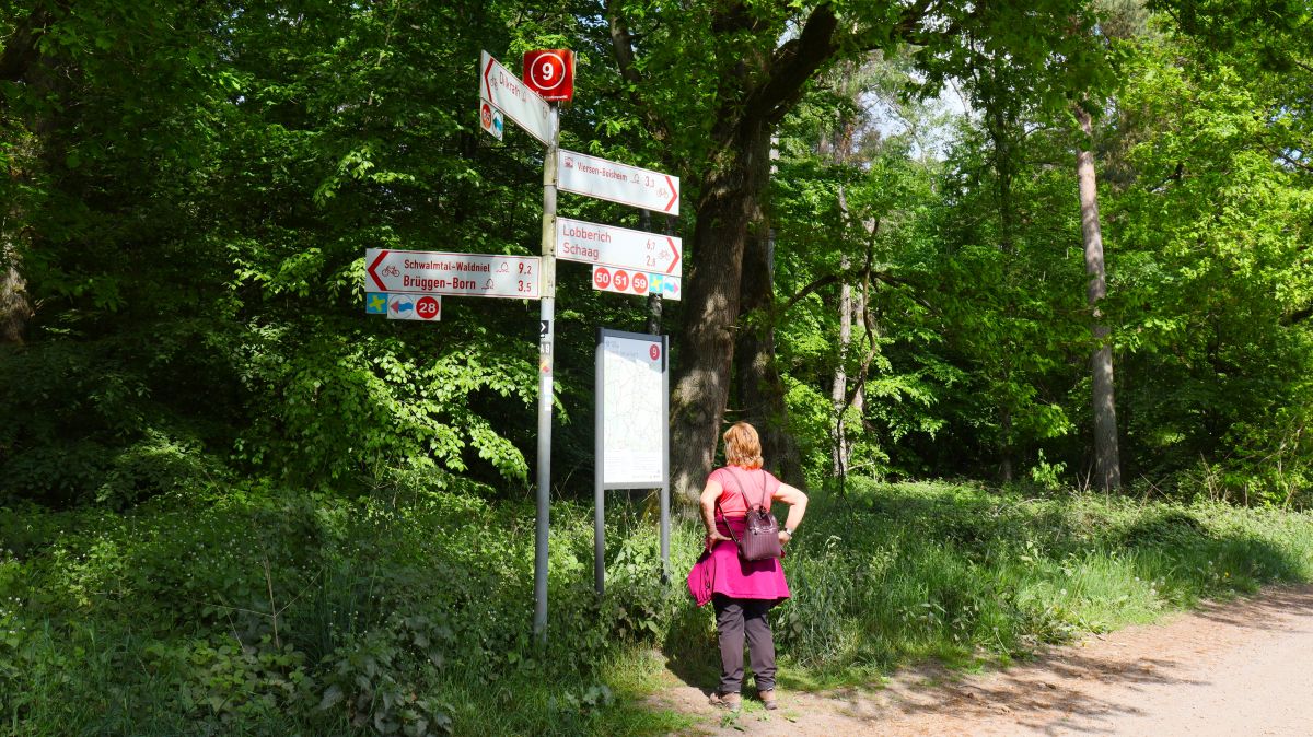 Wegkreuzung im Wald bei Dilkrath