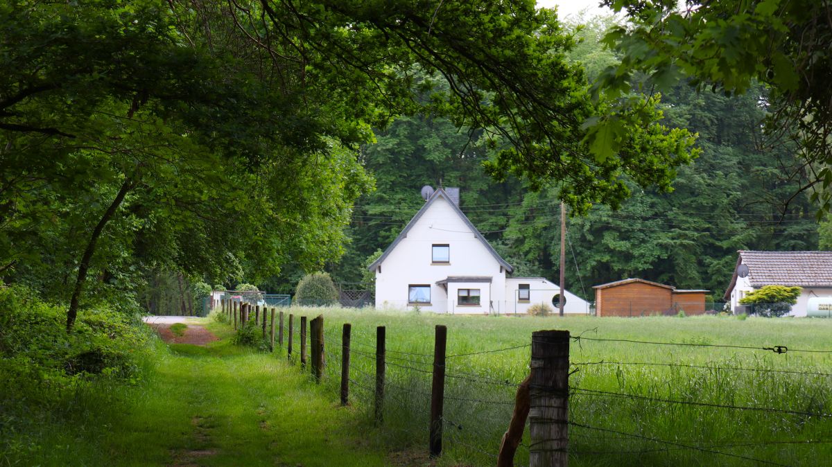 Haus im Wald