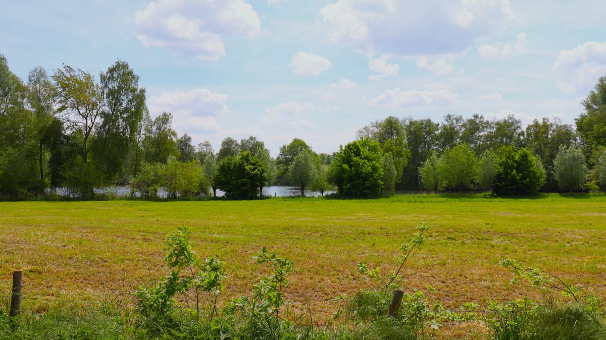 Wiesen und Borner See