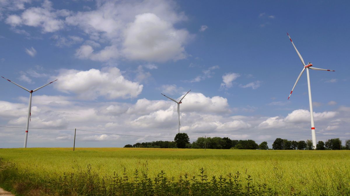 Windräder Bei Doveren