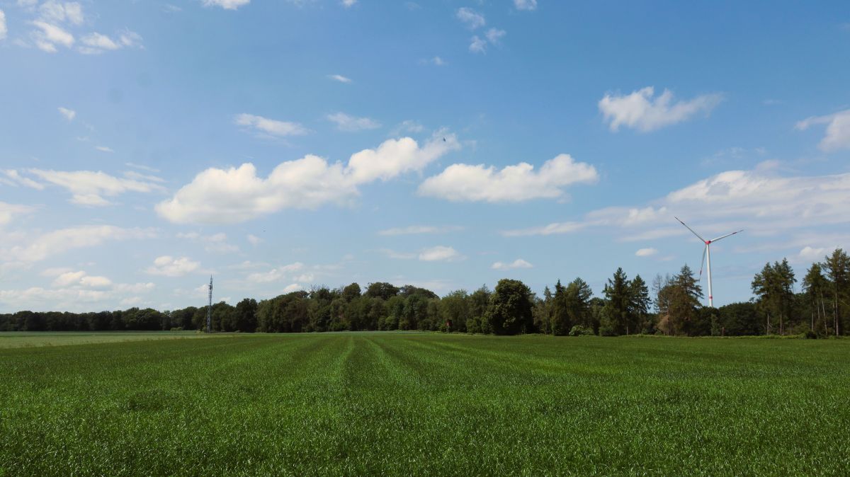 Im Doverener Feld