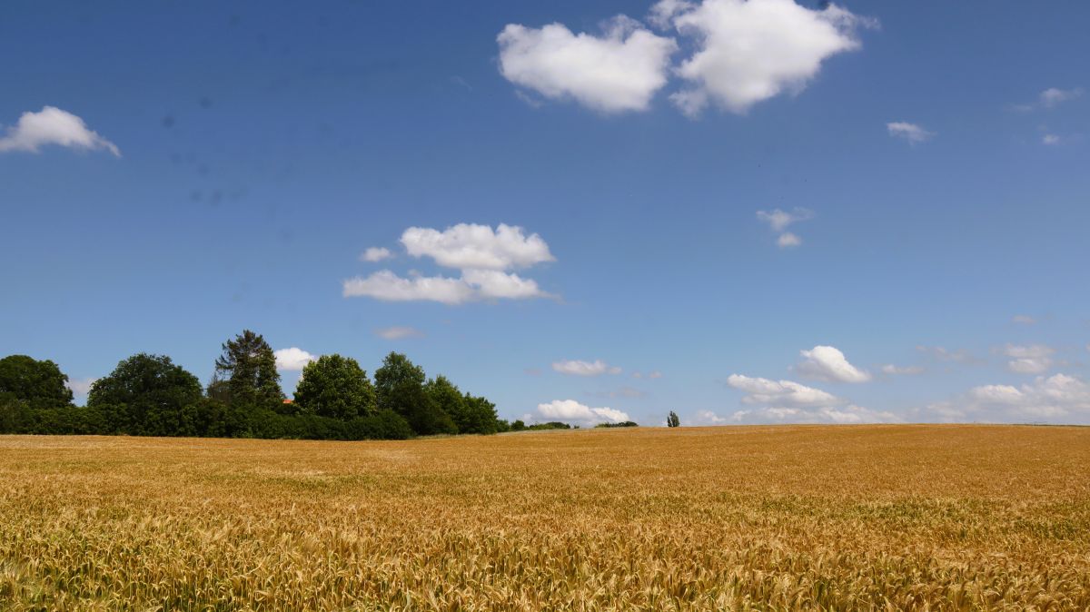 Blick über die Weite der Felder