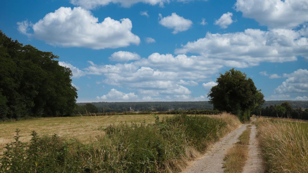 In den Feldern bei Hillensberg