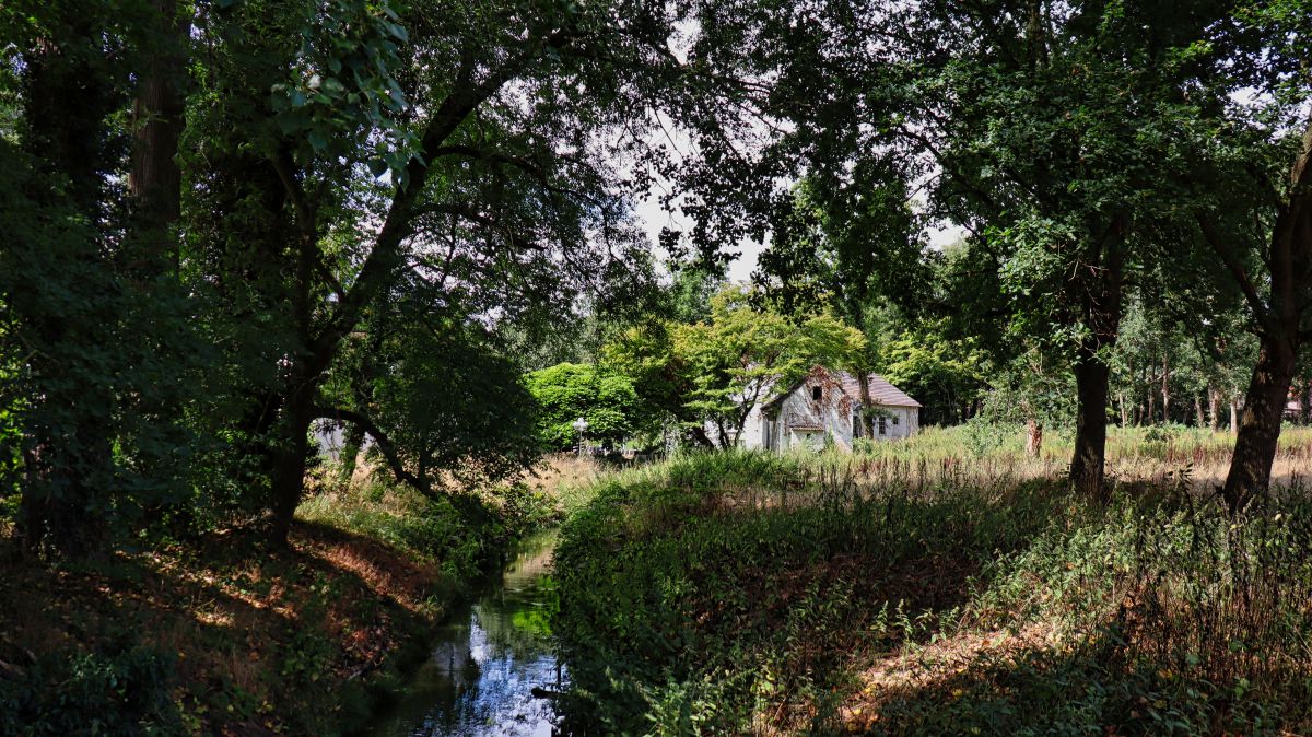 Borner Mühle