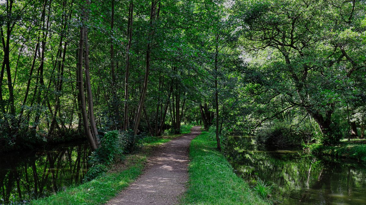 Schwalm bei Brüggen