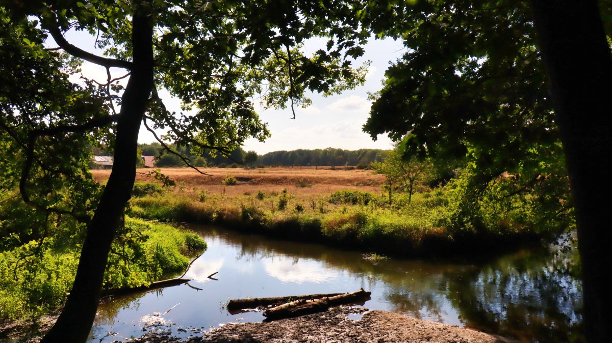 Schwalm Nähe De Hout