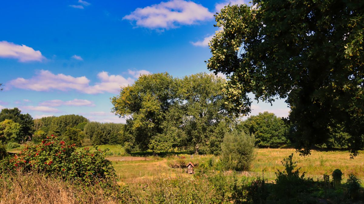 Schwalmauen bei Swalmen