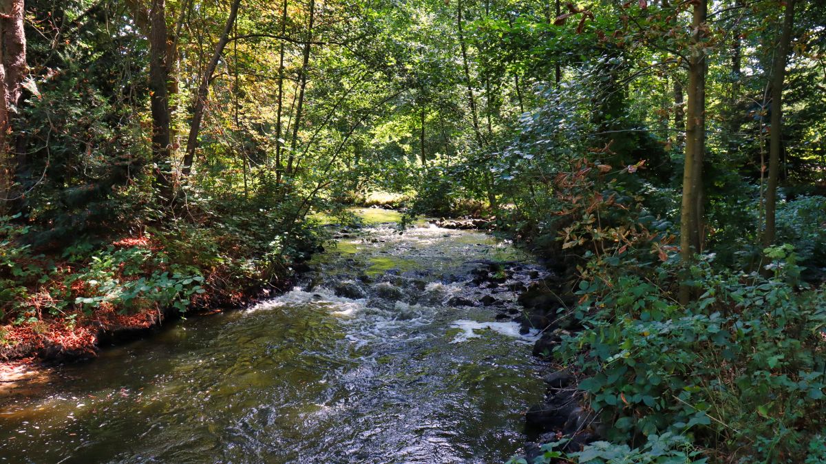 Stromschnellen in der Schwalm