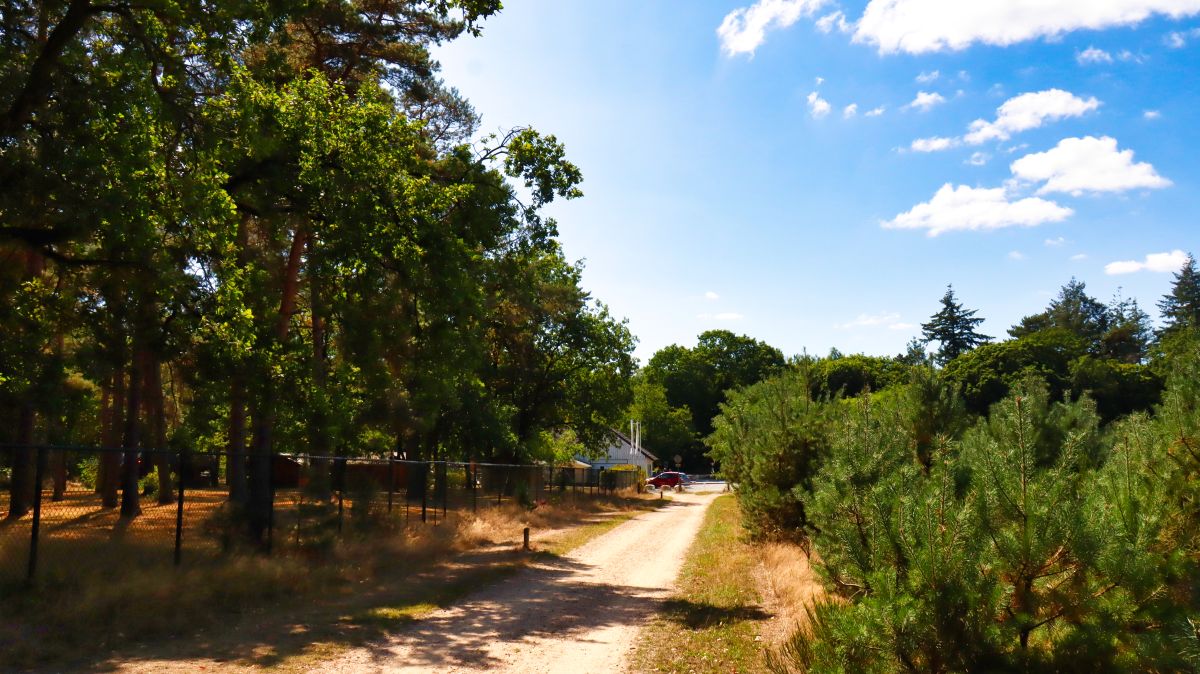 Weg zur Herberg de Bos