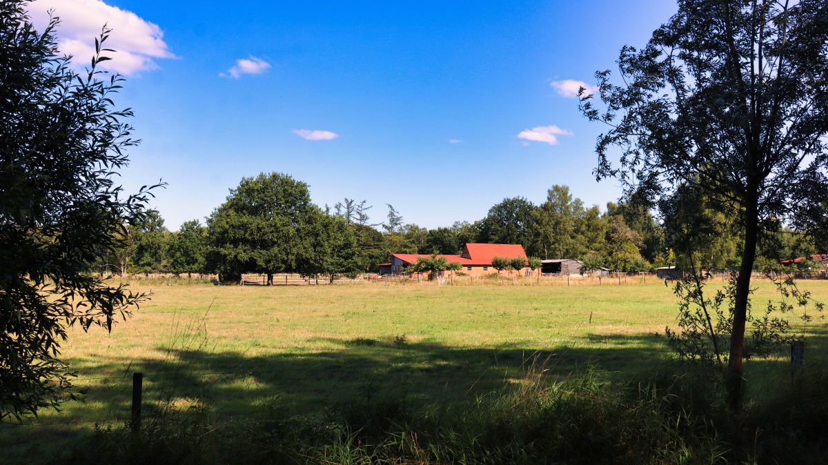 Hof bei Tackenbenden