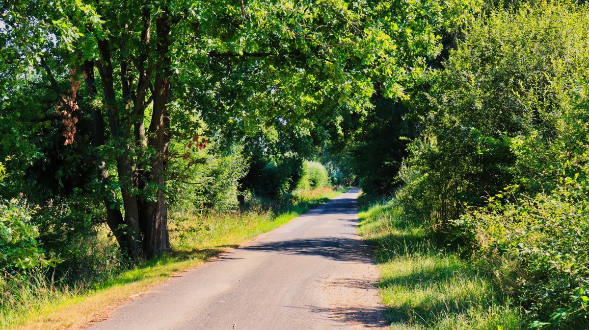 Weg Richtung Schwalmbruch