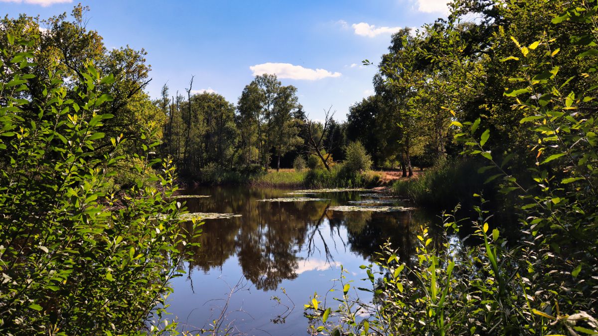 Moorsee im Schwalmbruch