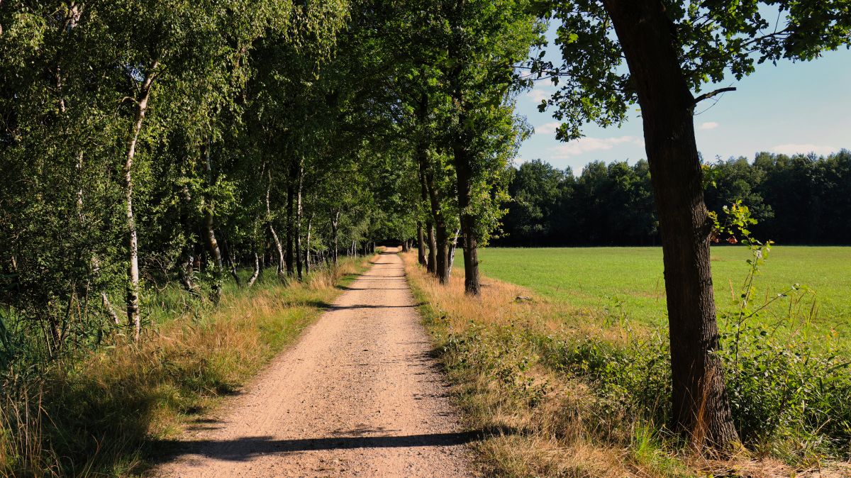 Weg am Holzsteg